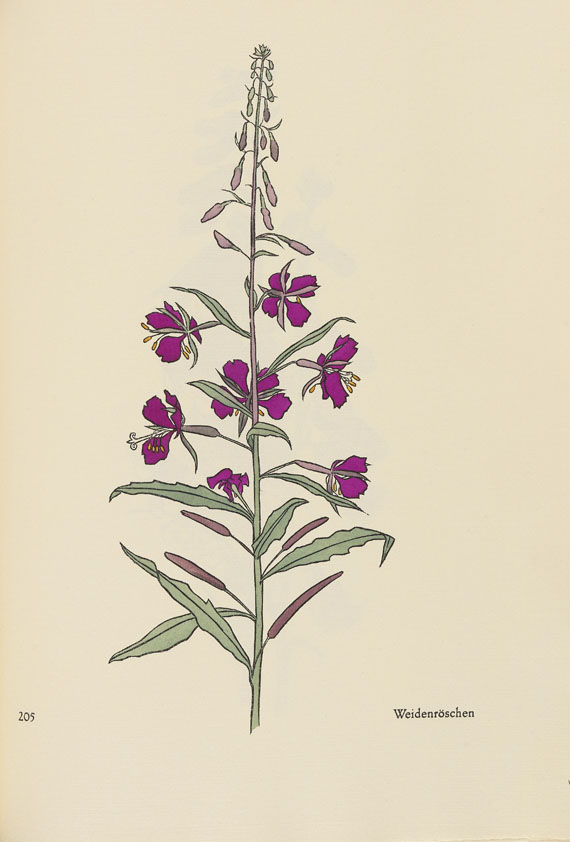 Rudolf Koch - Das Blumenbuch