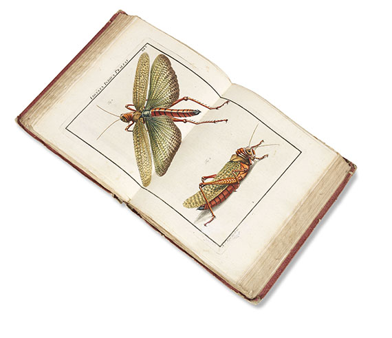 August Johann Rösel von Rosenhof - Insecten-Belustigung, 4 Bde., dazu Kleemann, Beyträge zur Naturgeschichte, 2 Bde. in 1, zusammen 5 Bde.