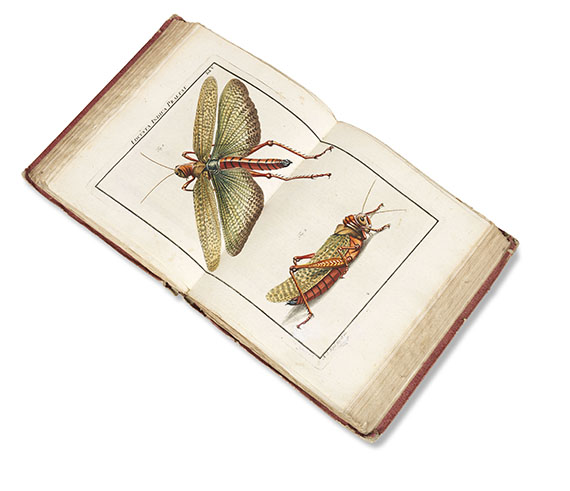 August Johann Rösel von Rosenhof - Insecten-Belustigung, 4 Bde., dazu Kleemann, Beyträge zur Naturgeschichte, 2 Bde. in 1, zusammen 5 Bde. - Weitere Abbildung