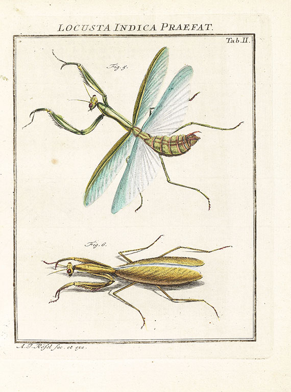 August Johann Rösel von Rosenhof - Insecten-Belustigung, 4 Bde., dazu Kleemann, Beyträge zur Naturgeschichte, 2 Bde. in 1, zusammen 5 Bde.