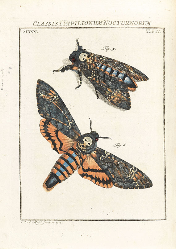 August Johann Rösel von Rosenhof - Insecten-Belustigung, 4 Bde., dazu Kleemann, Beyträge zur Naturgeschichte, 2 Bde. in 1, zusammen 5 Bde. - Weitere Abbildung