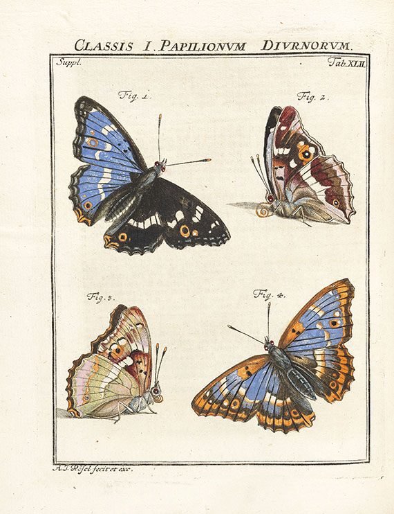 August Johann Rösel von Rosenhof - Insecten-Belustigung, 4 Bde., dazu Kleemann, Beyträge zur Naturgeschichte, 2 Bde. in 1, zusammen 5 Bde.
