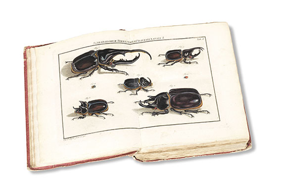 August Johann Rösel von Rosenhof - Insecten-Belustigung, 4 Bde., dazu Kleemann, Beyträge zur Naturgeschichte, 2 Bde. in 1, zusammen 5 Bde. - Weitere Abbildung