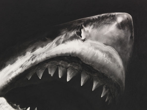 Robert Longo - Untitled (Shark 15) - Weitere Abbildung