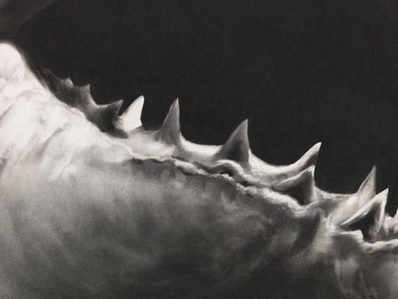 Robert Longo - Untitled (Shark 15) - Weitere Abbildung