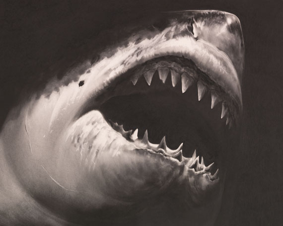 Robert Longo - Untitled (Shark 15) - Weitere Abbildung