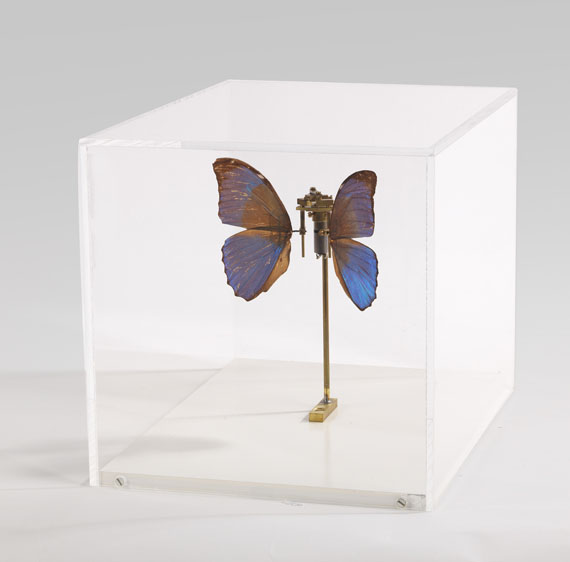 Rebecca Horn - Schmetterling - Weitere Abbildung