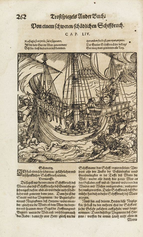 Francesco Petrarca - Trostspiegel