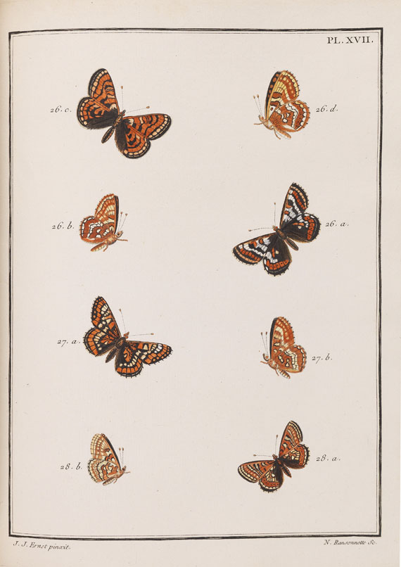 Jacques Louis Florentin Engramelle - Papillons d