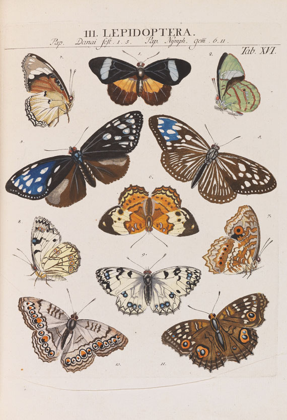 Johann Jacob Roemer - Genera insectorum