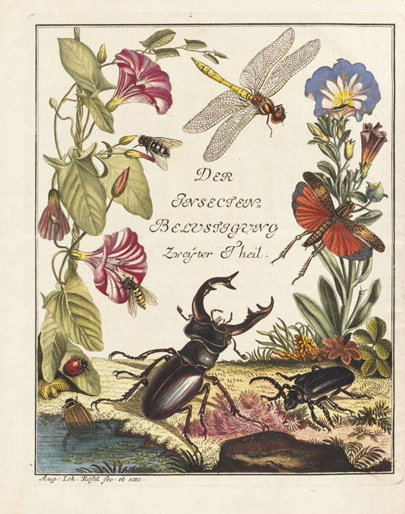 Augustin Johann Rösel von Rosenhof - Insecten-Belustigung. 4 Bde., 2 Erg. + 1 Beigabe