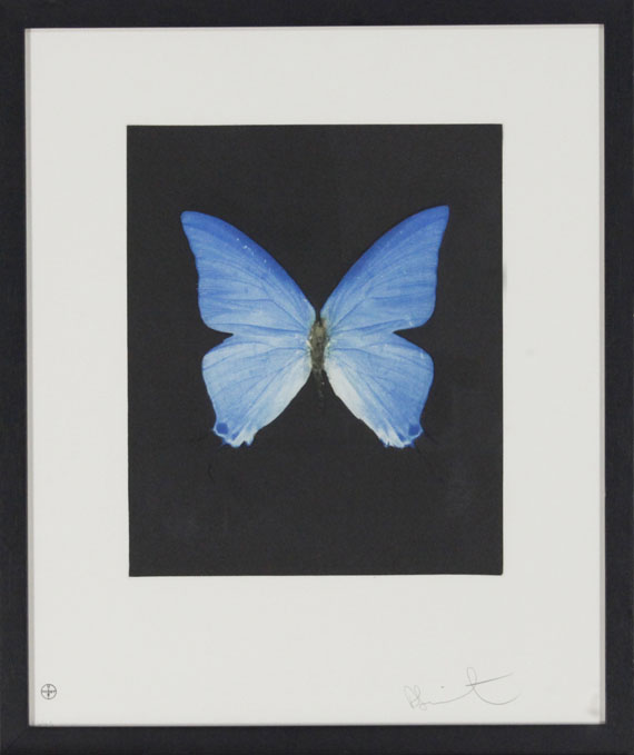 Damien Hirst - Providence - Rahmenbild