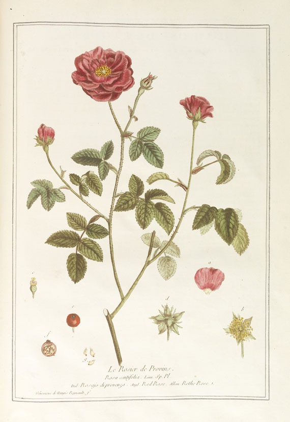 Nicolas Francois Regnault - La botanique mise à la portée. 3 Bände - Weitere Abbildung