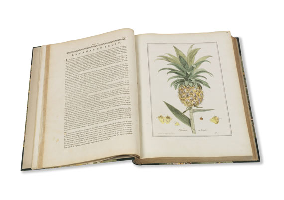 Nicolas Francois Regnault - La botanique mise à la portée. 3 Bände - Weitere Abbildung