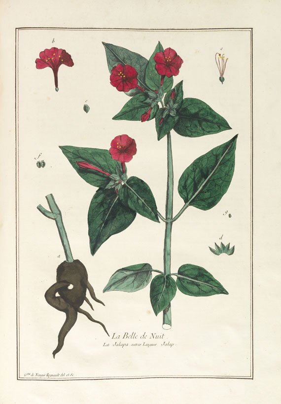 Nicolas Francois Regnault - La botanique mise à la portée. 3 Bände