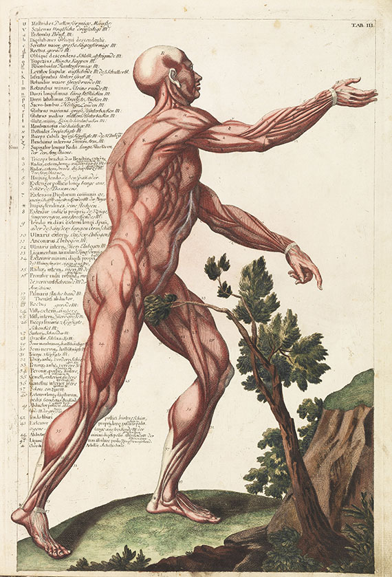 Christian Gottlieb Hofmann - Ossum et Musculorum