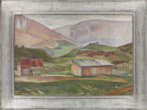 Albert Birkle - Oberes Donautal mit Schuppen - Rahmenbild