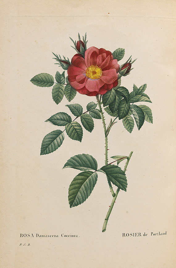 Pierre Joseph Redouté - Les roses. 3 in 2 Bänden