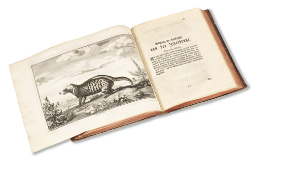 Claude Perrault - Abhandlungen zur Naturgeschichte. 3 Bände - Weitere Abbildung