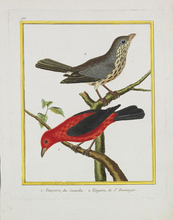 Georges Louis Leclerc Buffon - Histoire naturelle des oiseaux. 3 Kassetten - Weitere Abbildung