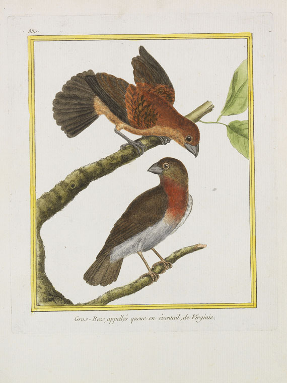 Georges Louis Leclerc Buffon - Histoire naturelle des oiseaux. 3 Kassetten - Weitere Abbildung