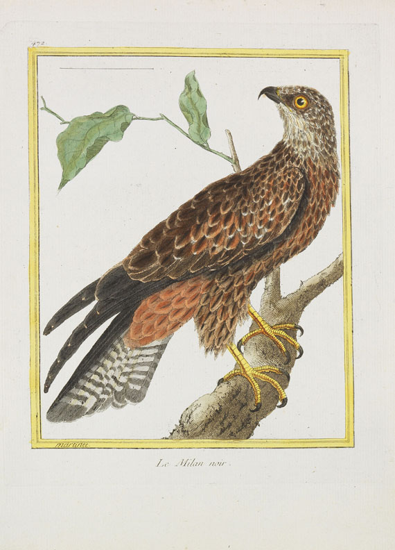 Georges Louis Leclerc Buffon - Histoire naturelle des oiseaux. 3 Kassetten - Weitere Abbildung