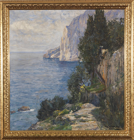 Wenk - Felsenküste auf Capri