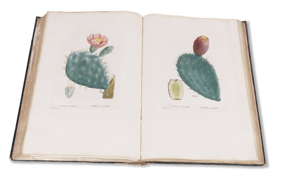 Augustin-Pyrame de Candolle - Plantarum historia. 2 Bände - Weitere Abbildung