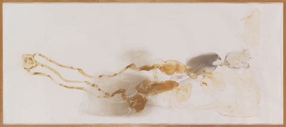 Andy Goldsworthy - Snow and Earth - Rahmenbild