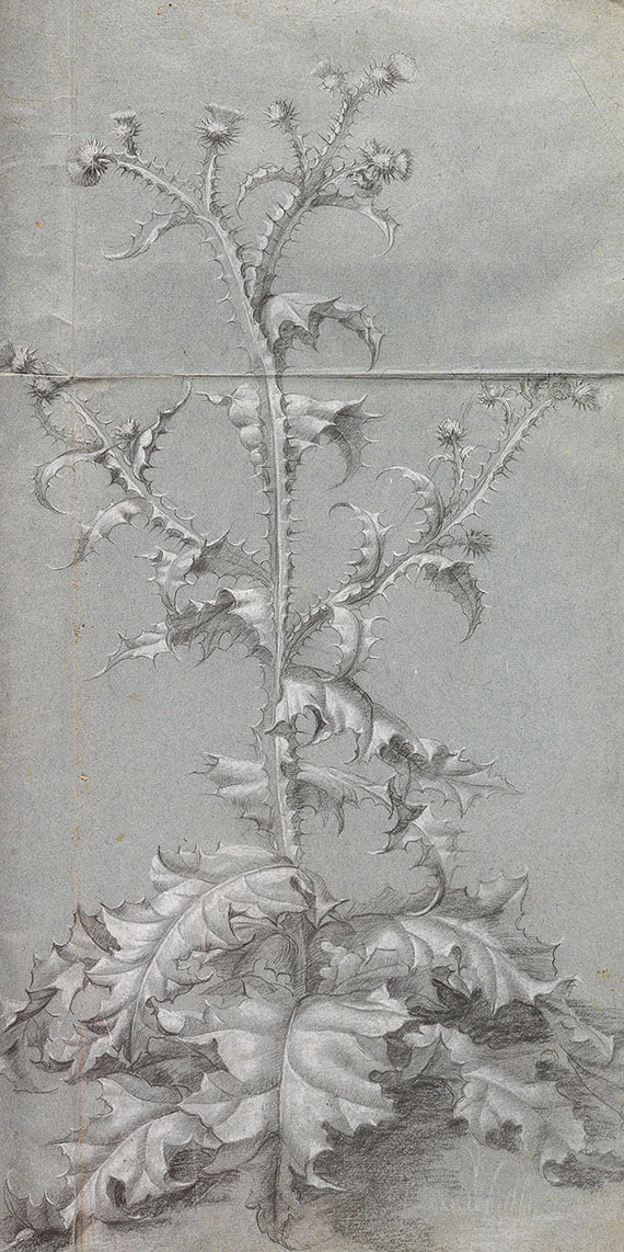   - Fleurs du Printemps et de l´Este - Weitere Abbildung