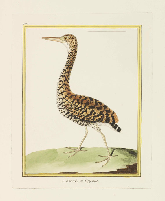 Georges Louis Leclerc Buffon - Histoire naturelle des oiseaux - Weitere Abbildung