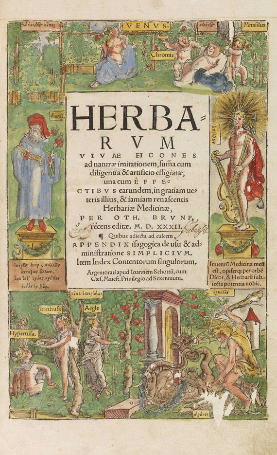 Otto Brunfels - Herbarum vivae eicones - Weitere Abbildung
