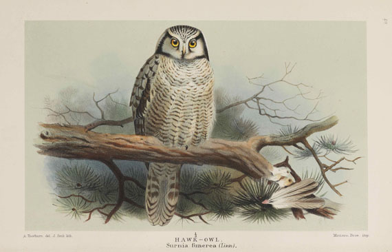 Thomas Lyttleton Powys - Birds of the British Islands. 7 Bände