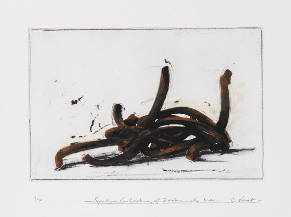 Bernar Venet - Random Combination of indeterminate Lines