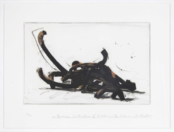 Bernar Venet - Random Combination of indeterminate Lines - Rahmenbild