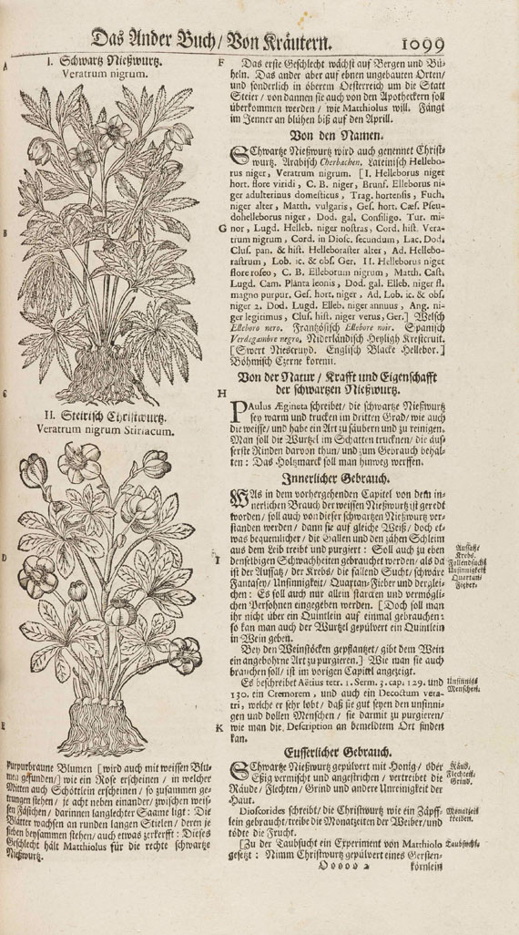 Jacob Theodor Tabernaemontanus - Neü vollkommen Kräuter-Buch