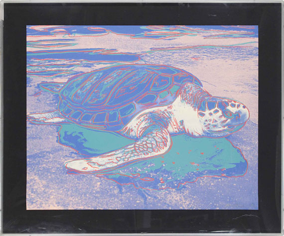 Andy Warhol - Turtle - Rahmenbild