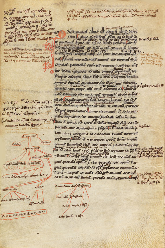 Aristoteles - Logica vetus, Pergamenthandschrift