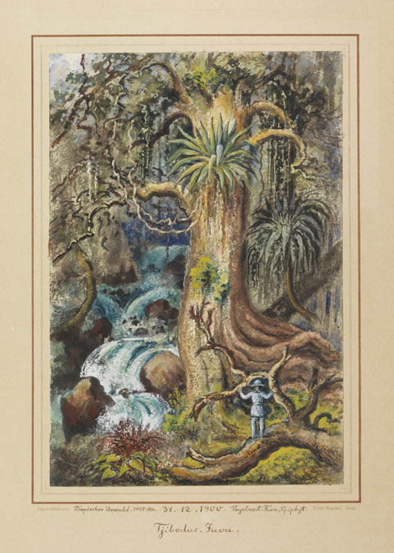 Haeckel - Tropischer Urwald auf Java. Original-Aquarell, signiert und datiert