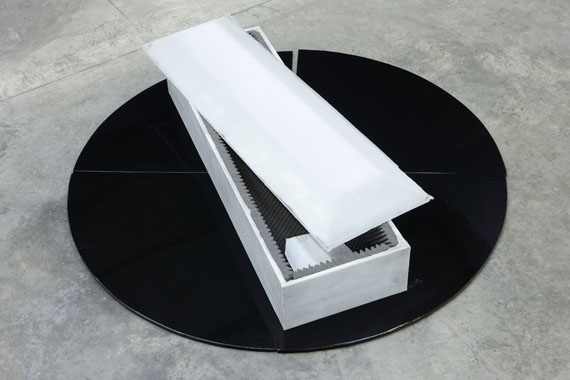 Banks Violette - Untitled (Black Performance Space) - Weitere Abbildung