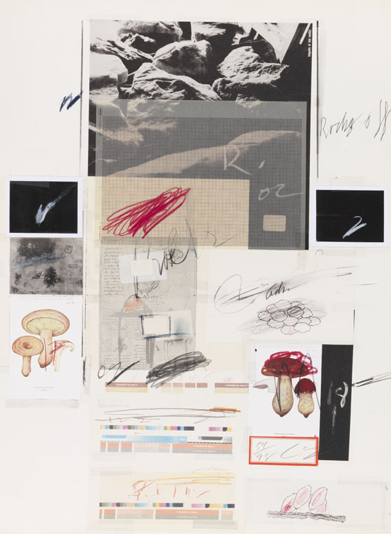 Cy Twombly - Natural History Part I, Mushrooms - Weitere Abbildung