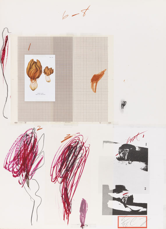 Cy Twombly - Natural History Part I, Mushrooms - Weitere Abbildung