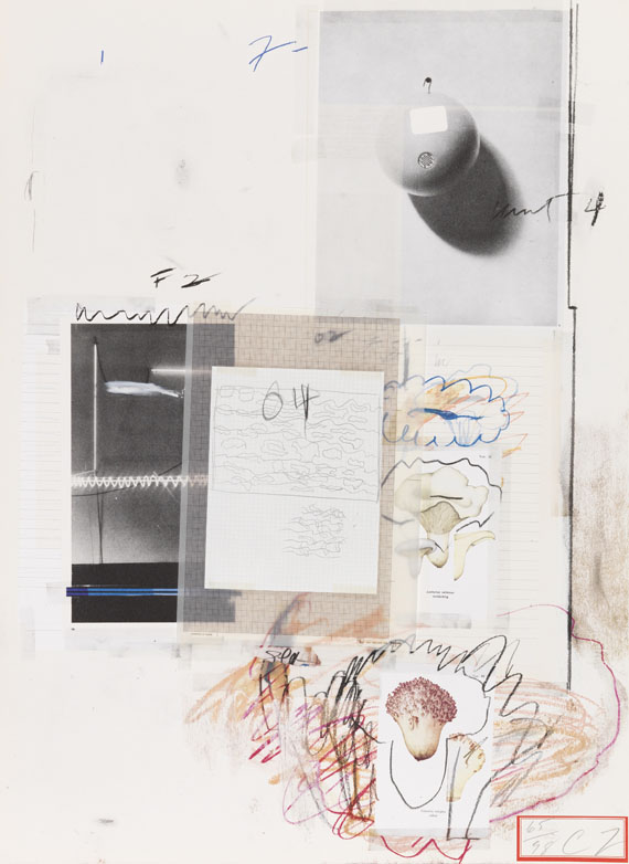 Cy Twombly - Natural History Part I, Mushrooms