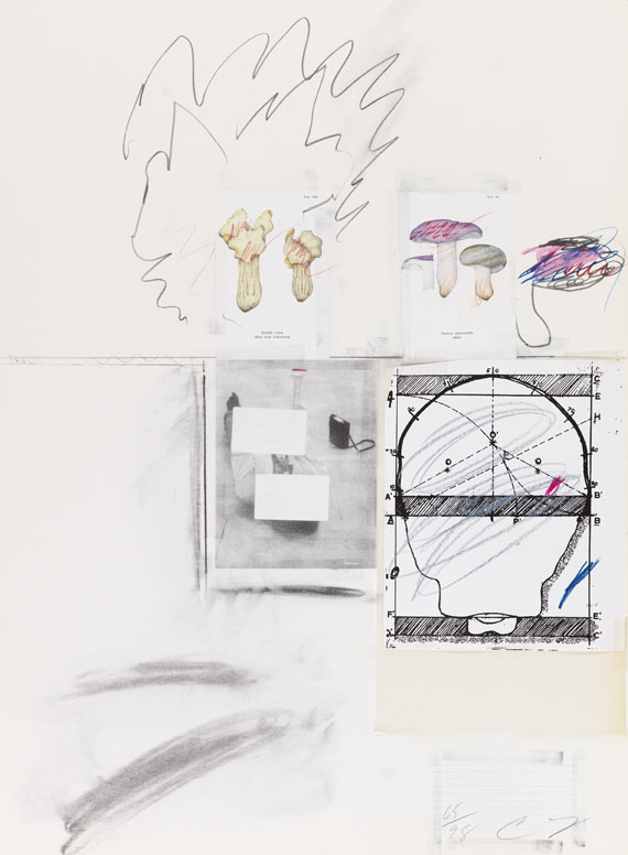 Cy Twombly - Natural History Part I, Mushrooms - Weitere Abbildung