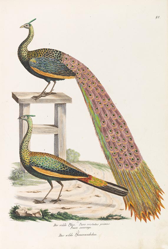 Naturgeschichte und Abbildungen der Vogel-Gattungen. 2 Bände