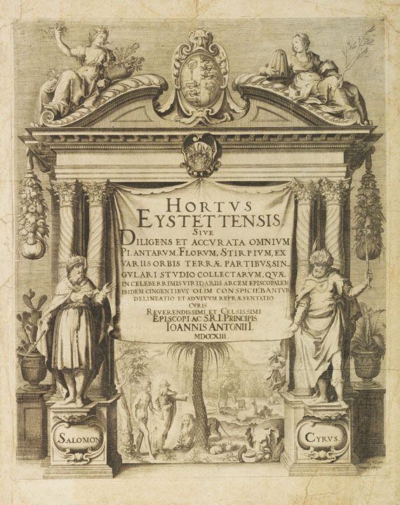 Basilius Besler - Hortus Eystettensis - Weitere Abbildung