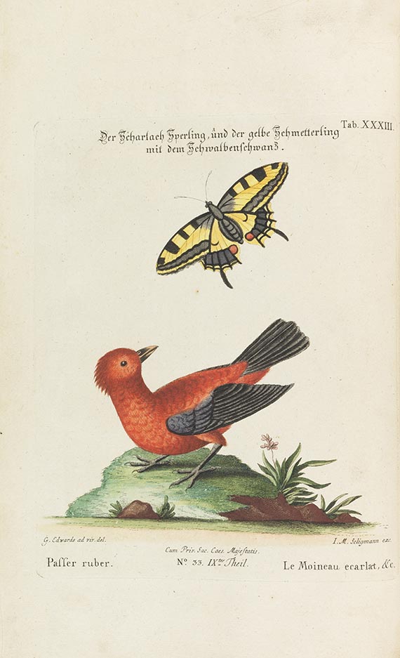Johann Michael Seligmann - Sammlung verschiedener ausländischer und seltener Vögel, Bd. IX
