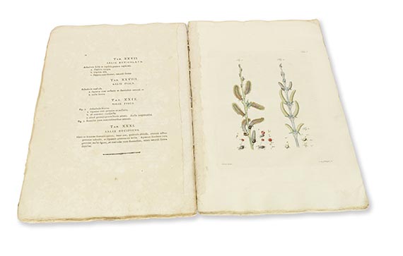 Georg Franz Hoffmann - Historia salicum iconibus illustrata - Weitere Abbildung