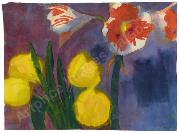 Tulpen und Amaryllis...