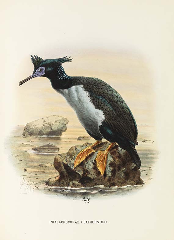 Walter Lawry Buller - A History of the Birds of New Zealand. Mit Begleitbrief an F. v. Hochstetter. - Weitere Abbildung